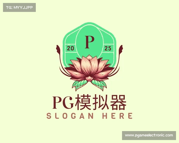 介绍pg模拟器